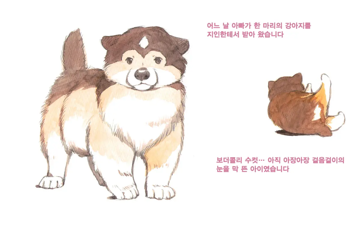 Himitsu No Inukko Club Sweet | 비밀의 강아지 클럽 Sweet